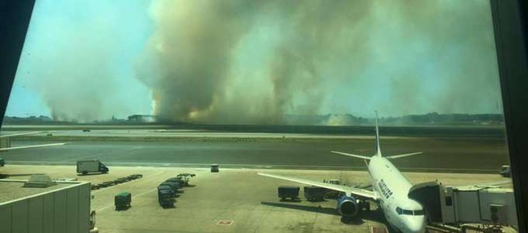 incendio_fiumicino_5-2.jpg