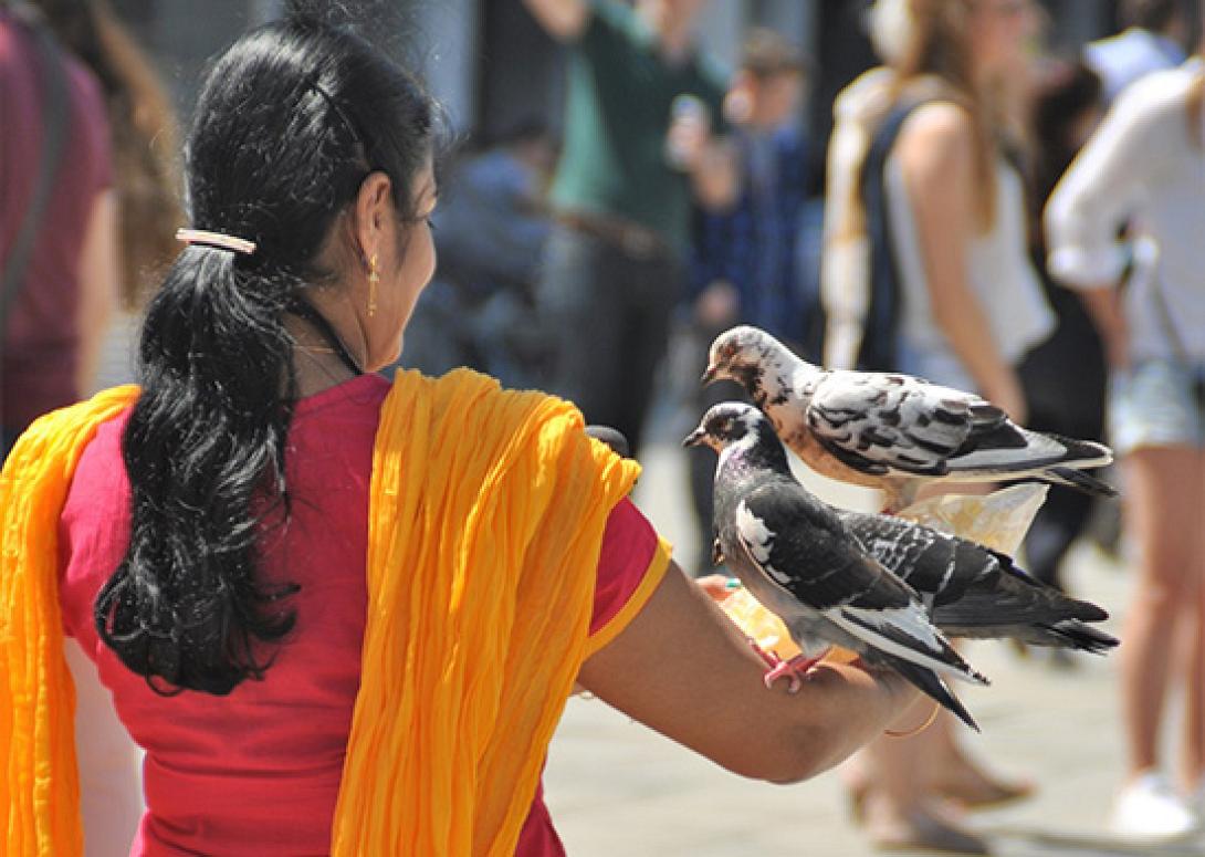 indian_tourists_pixabay_755424808.jpg