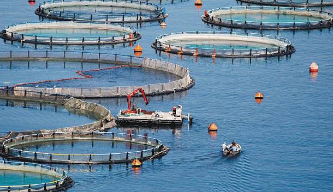 Σχέδιο Νόμου για τις Υδατοκαλλιέργειες