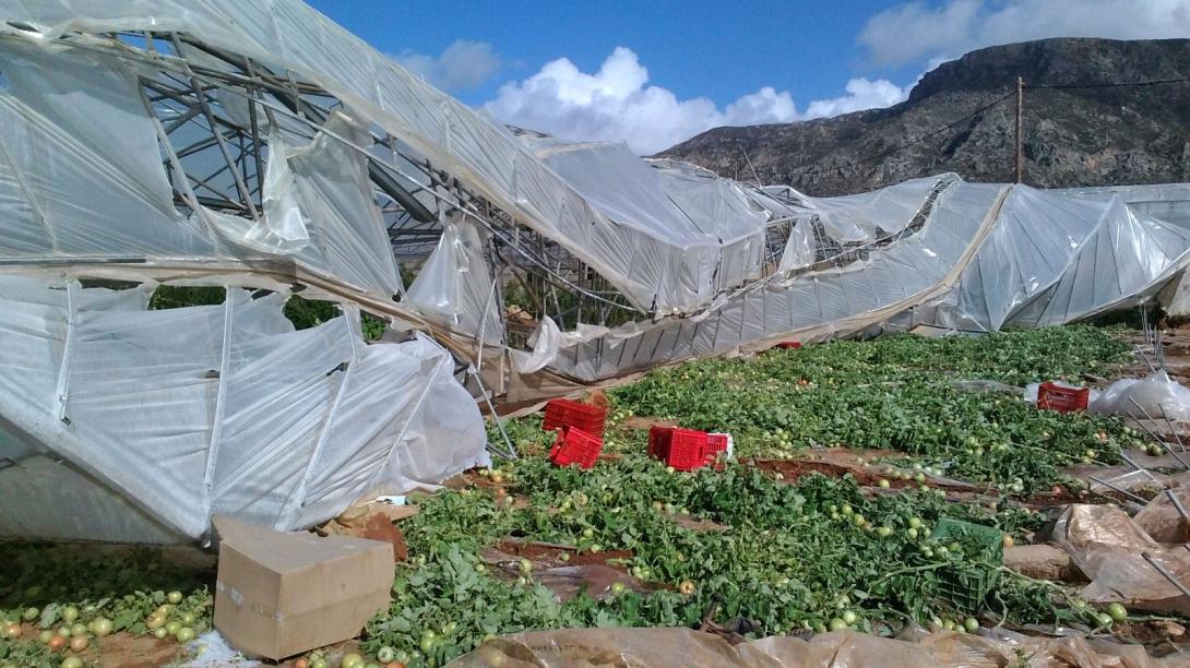 Πως να αντιμετωπίσουν οι αγρότες της Κρήτης τα ακραία καιρικά φαινόμενα