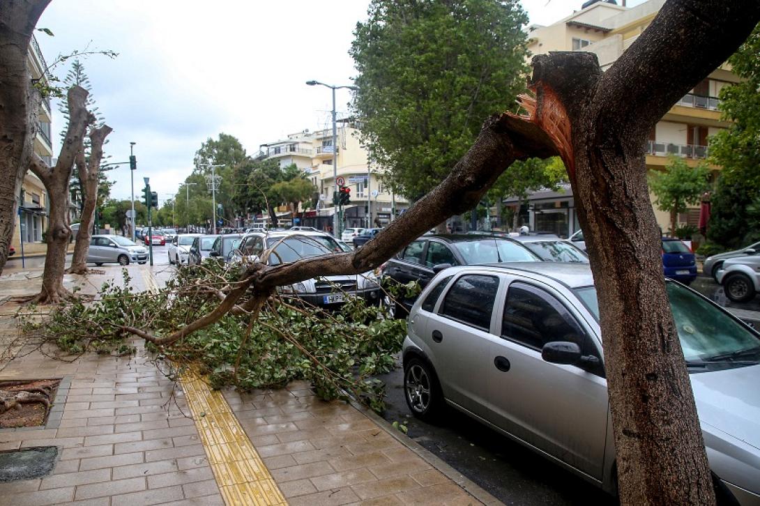 Έσπασε κλαδί δέντρου και έπεσε στο οδόστρωμα στη λ. Δημοκρατίας