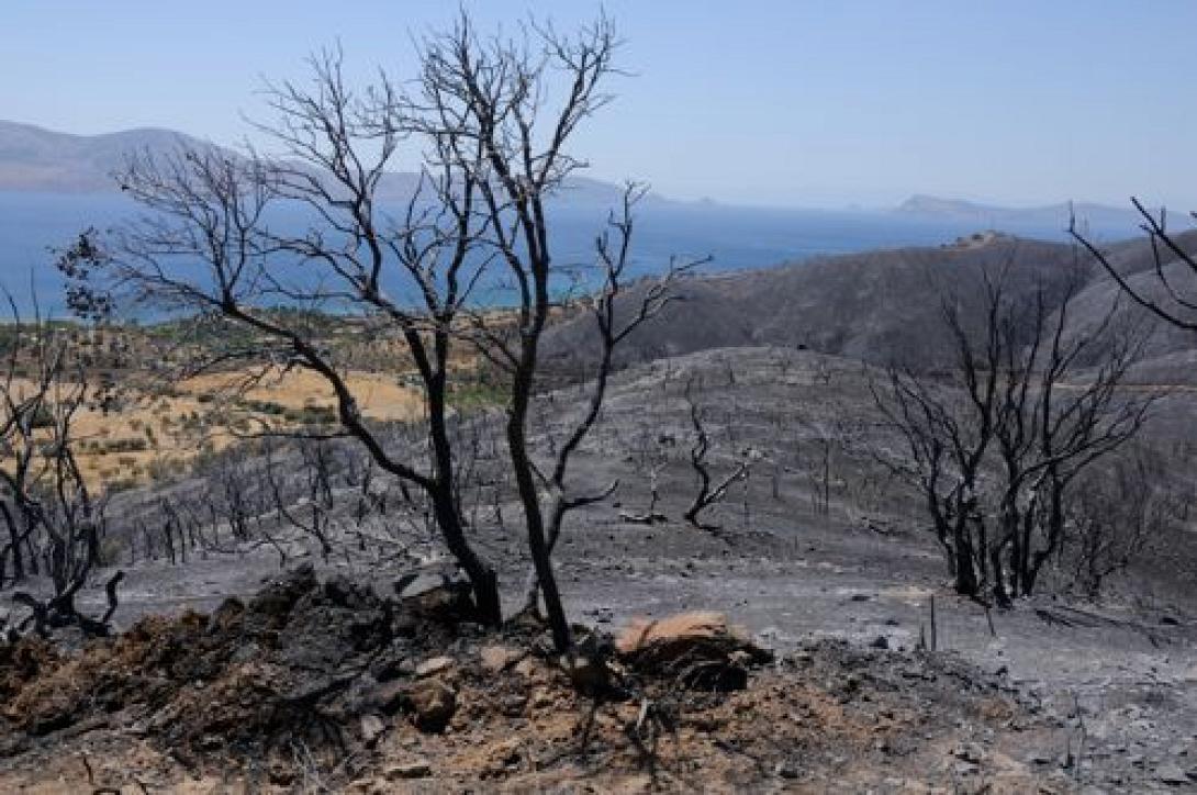 &quot;Πράσινο φως&quot; για την αποκατάσταση των &quot;καμμένων&quot; περιοχών του 2007