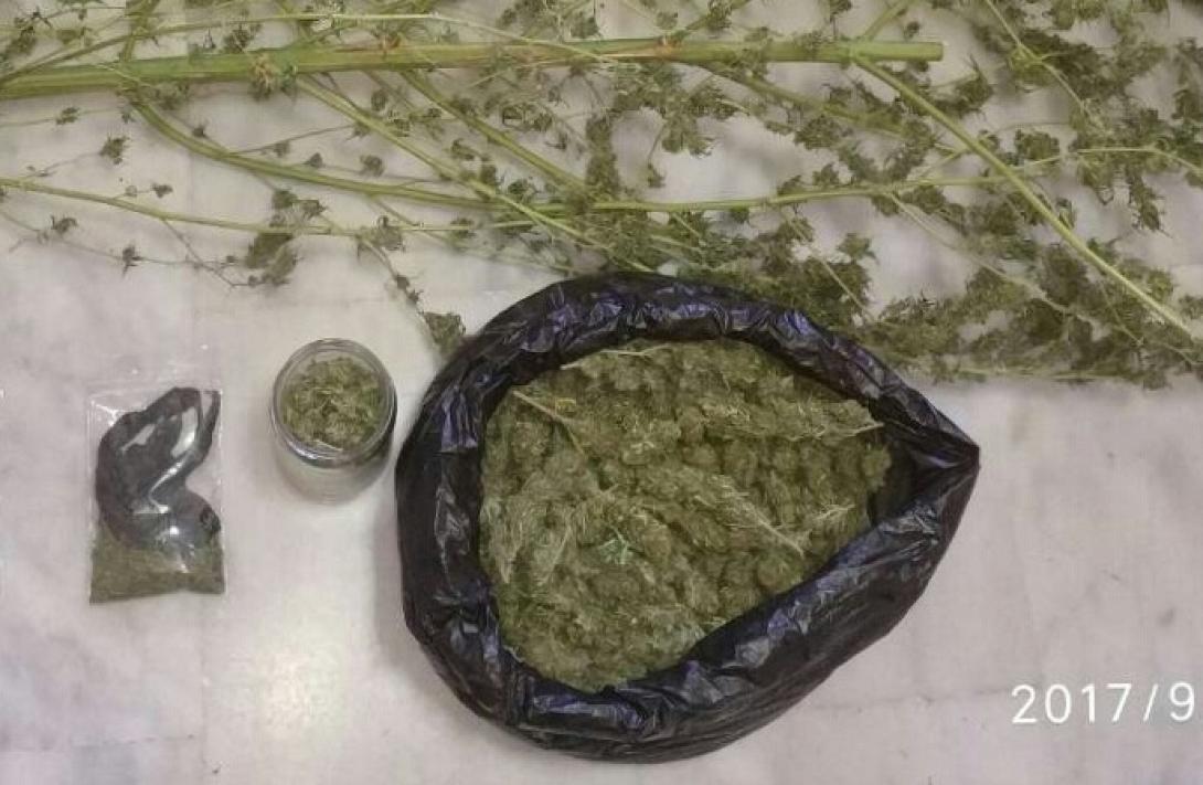 Κάνναβη