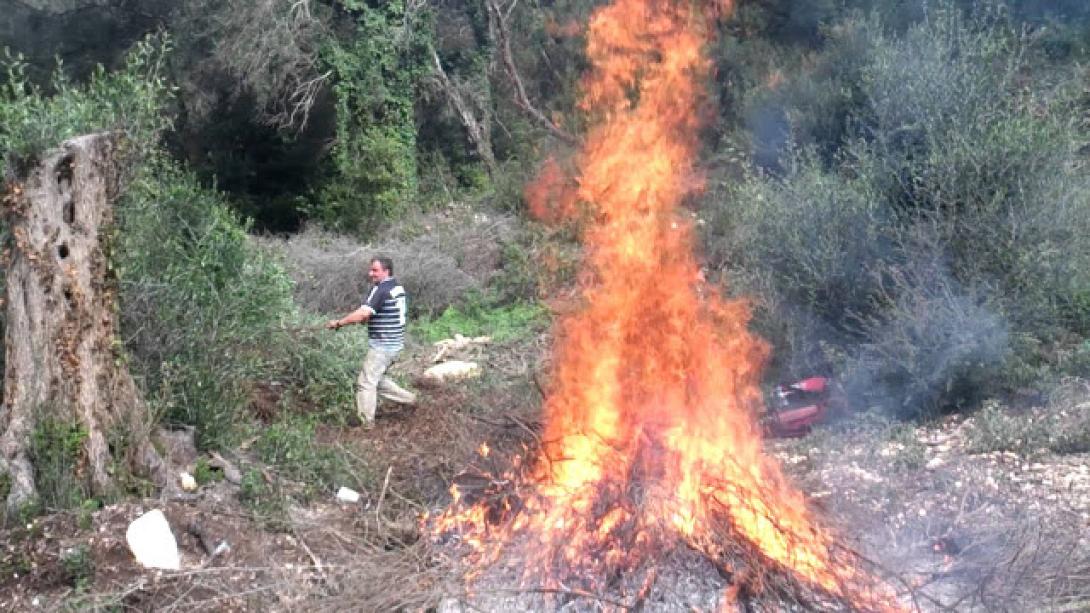 κάψιμο κλαδιών