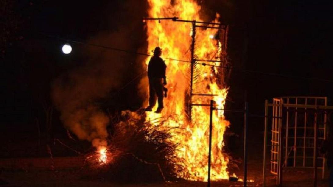 φουνάρα ιούδας