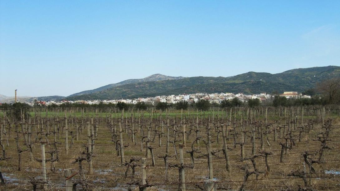 καστέλι