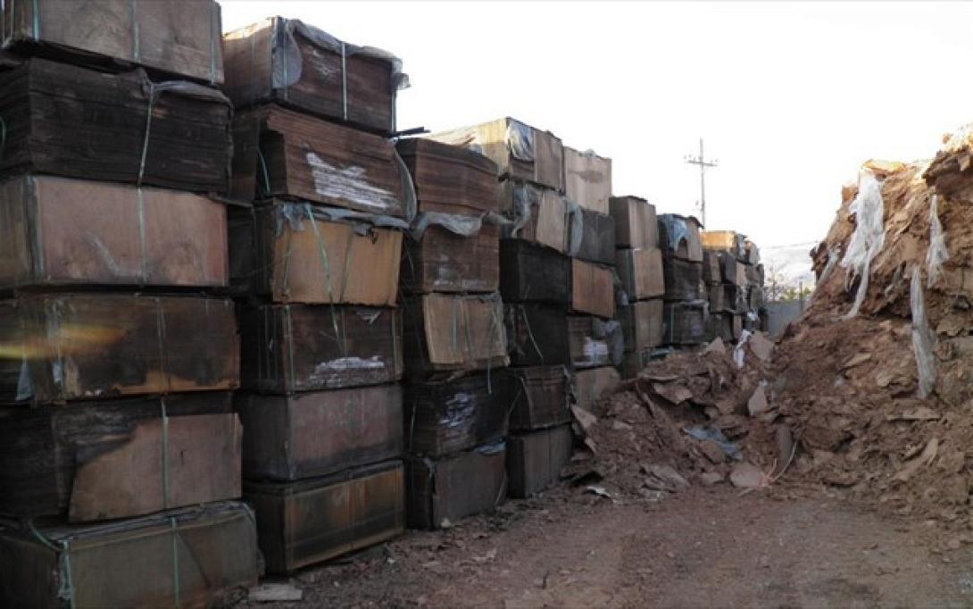 Κατασχέθηκαν 5.800 τόνοι ακατάλληλης ξυλείας που προορίζονταν για τζάκια