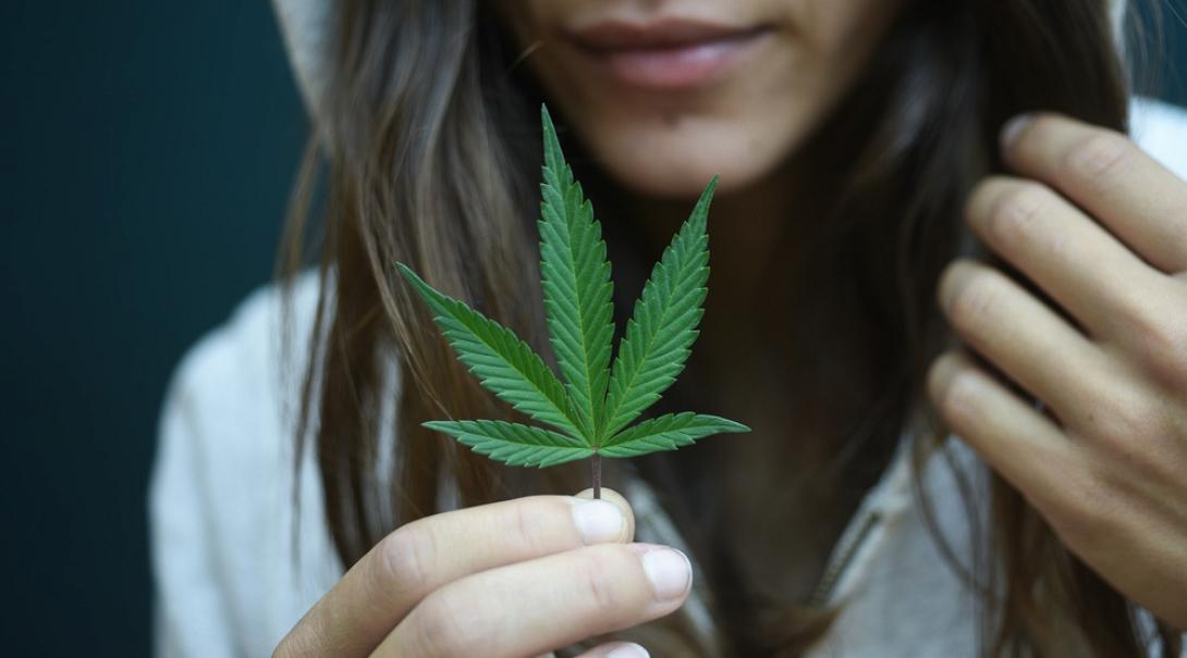 κάνναβη νέοι