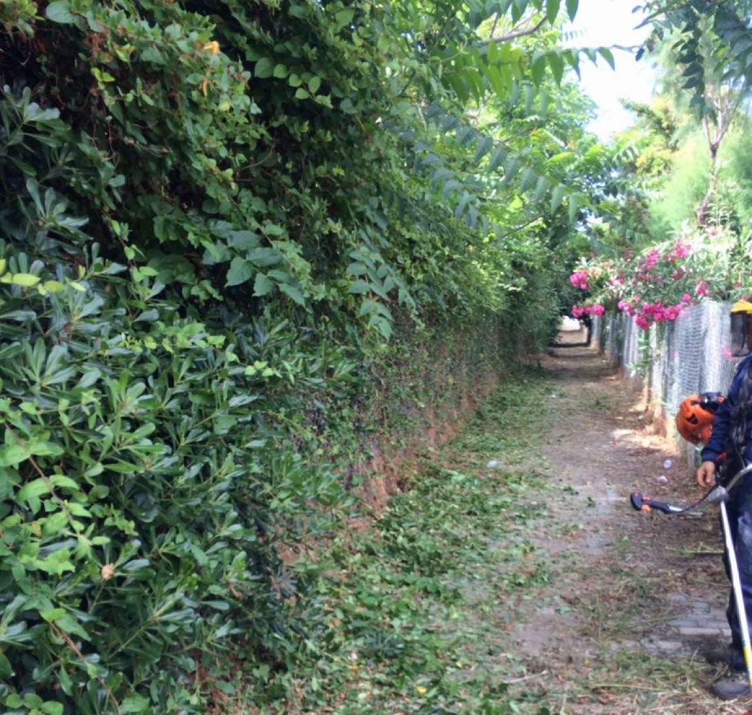 καθαρισμος