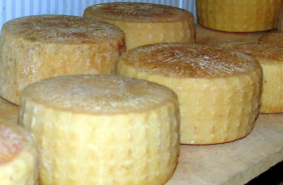 kefalotyri_thanasi_01.jpg