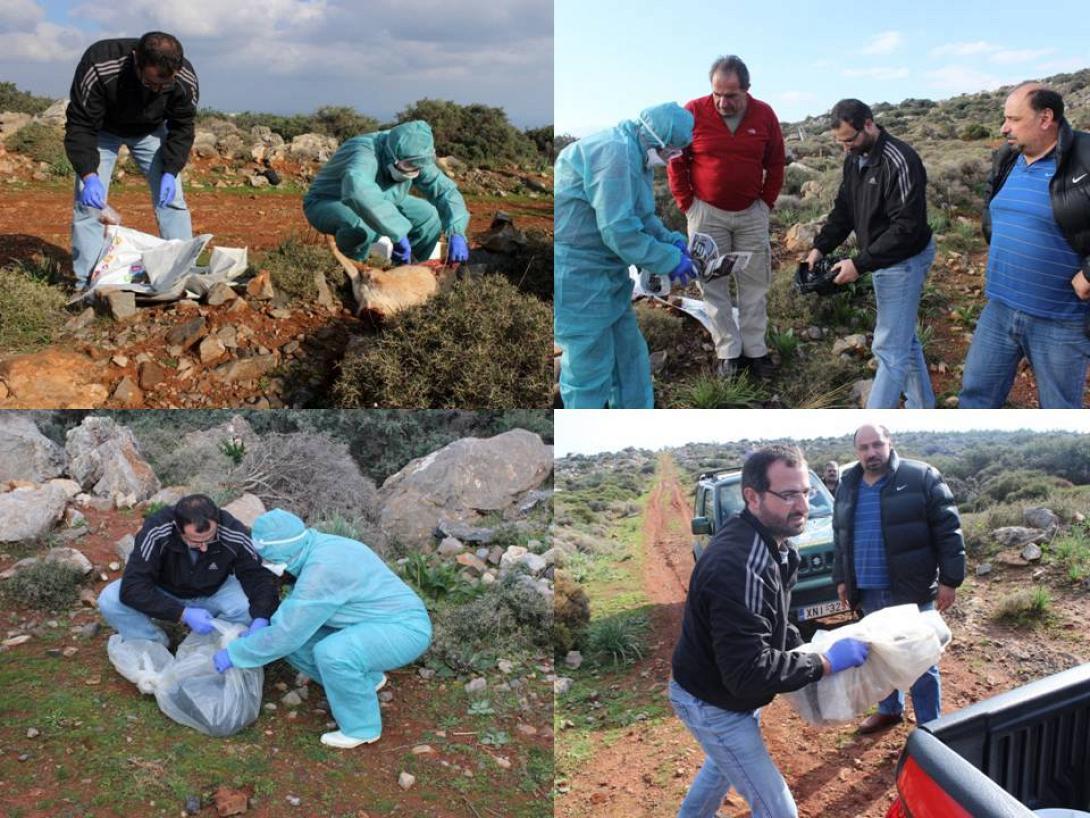 Κινητοποίηση στο οροπέδιο της Κέρης 