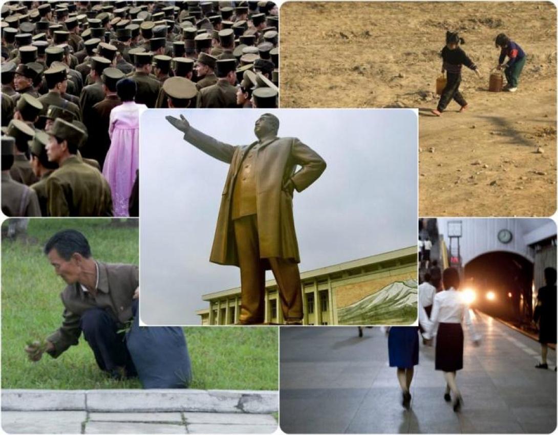 kim22-768x599.jpg