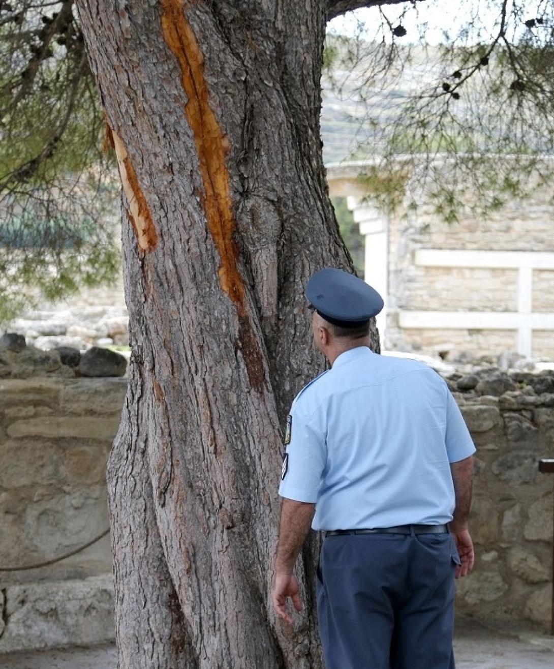 κνωσσος