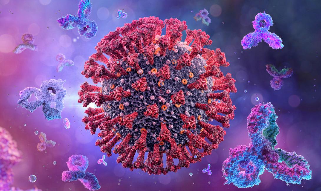 Φωτό αρχείου