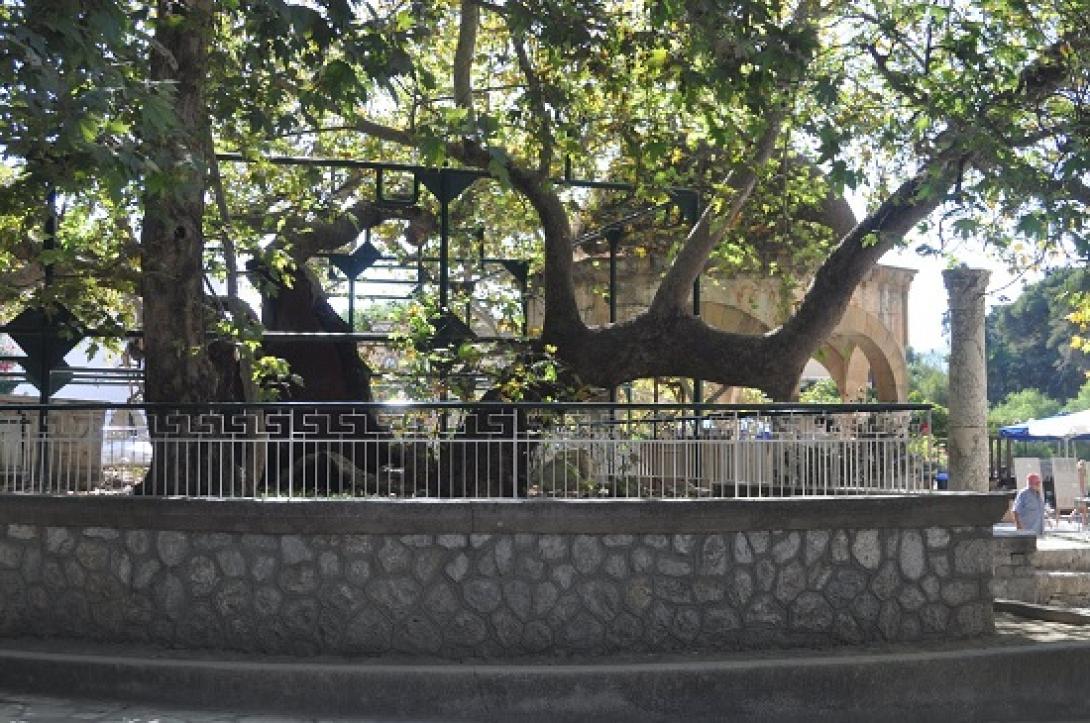 Το Δέντρο του Ιπποκράτη στο Εθνικό Ιδρυμα Υγείας των ΗΠΑ