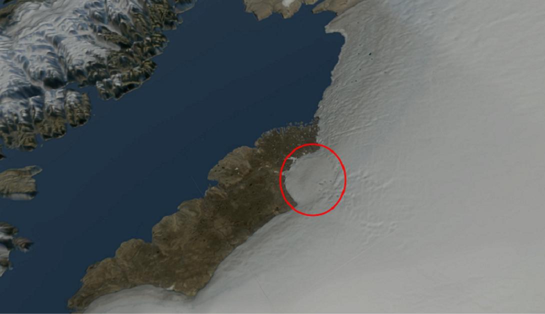 kratirasgroilandiaspiginaturalhistorymuseumofdenmark.png