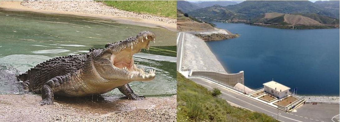 Δεν έχει αφήσει πάπια για πάπια ο Σήφης και... αρνείται τη &quot;σύλληψη&quot;