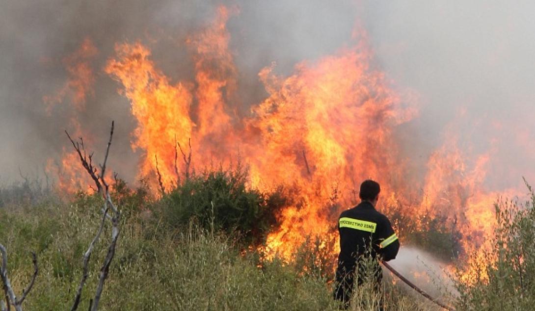 Συναγερμός από πυρκαγιά στην Κρυά Σητείας