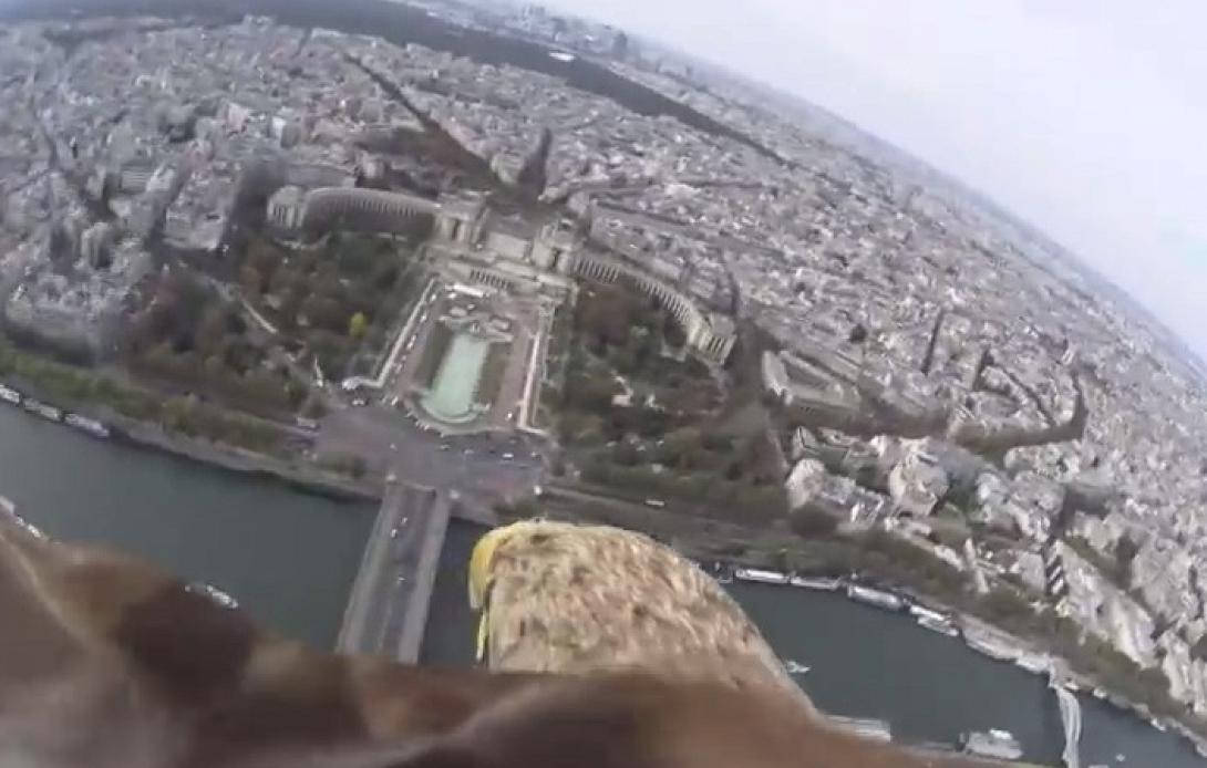 Ξενάγηση στο Παρίσι μέσα από τα μάτια του ... αετού (βίντεο)