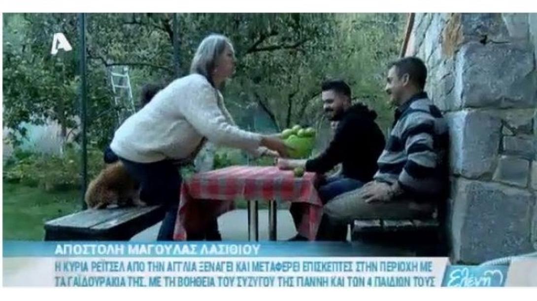 Ξεναγός
