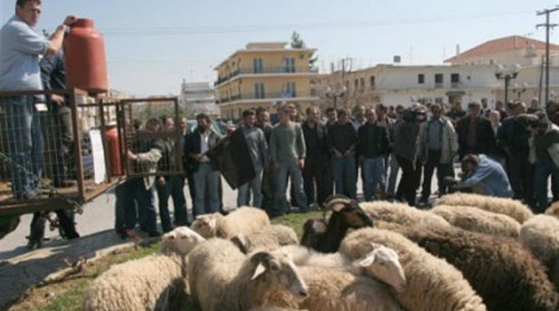Οι ρυθμίσεις για το γάλα οδηγούν το κλάδο σε μαρασμό λένε οι κτηνοτρόφοι