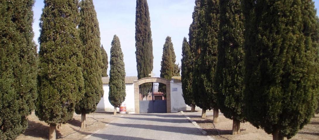 Κυπαρίσσια