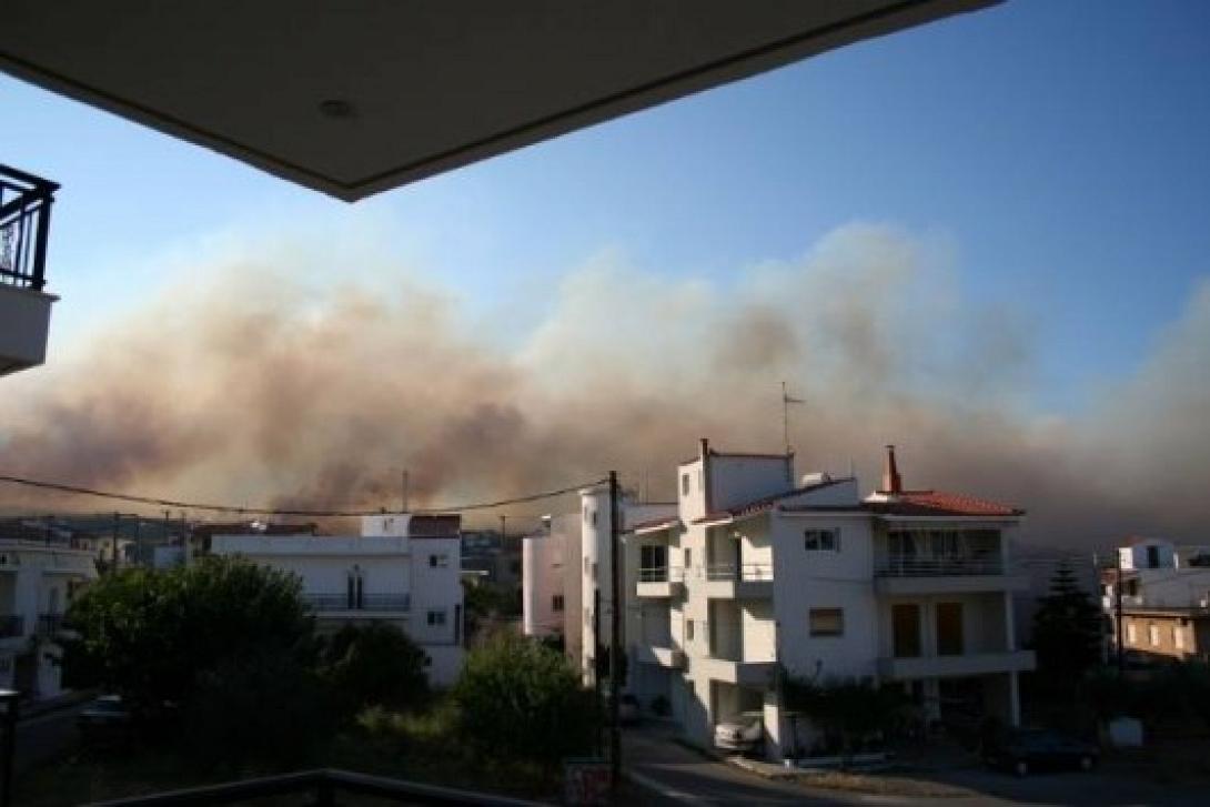 lakonia-fotia.jpg