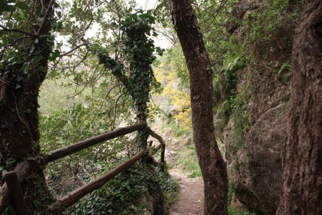 Ξεκινά η λειτουργία του Λαογραφικού και Γεωλογικού Μουσείου στο Ζαρό