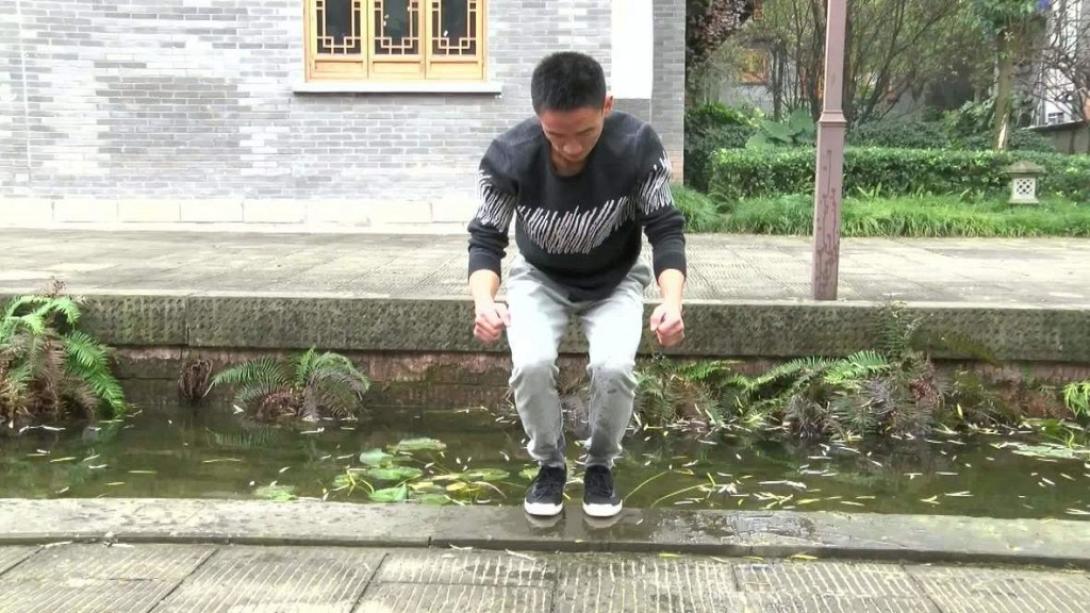 Δάσκαλος κουνγκ φου αψηφά τους νόμους της Φυσικής.jpg