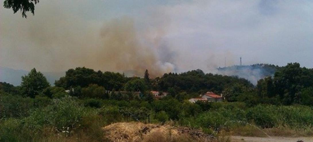 Πανικός από μεγάλη πυρκαγιά που απειλεί σπίτια στη Λάρισα (βίντεο-φωτο)