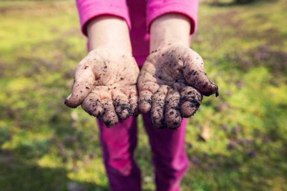 let-your-kid-eat-dirt.jpg