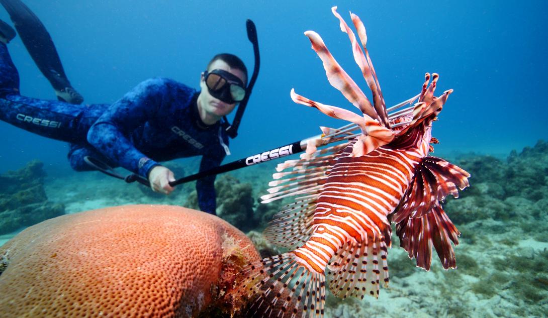 lionfish.jpg