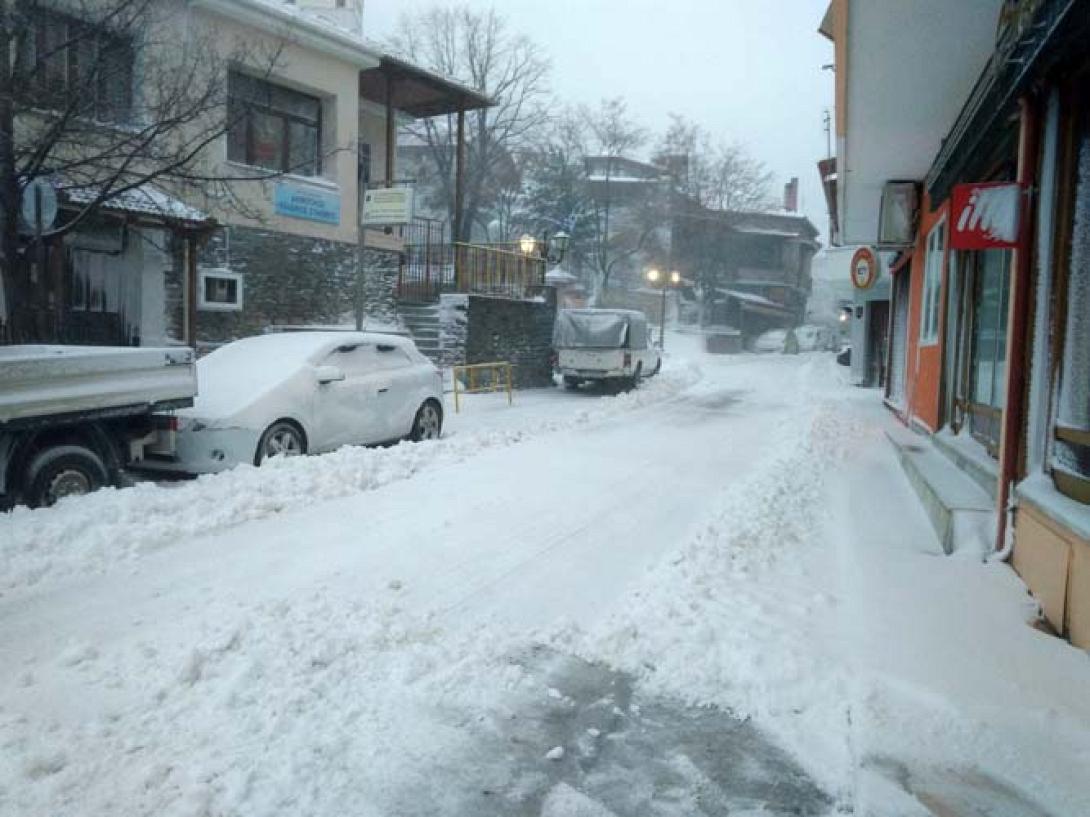 livadi-xioni3-1.jpg