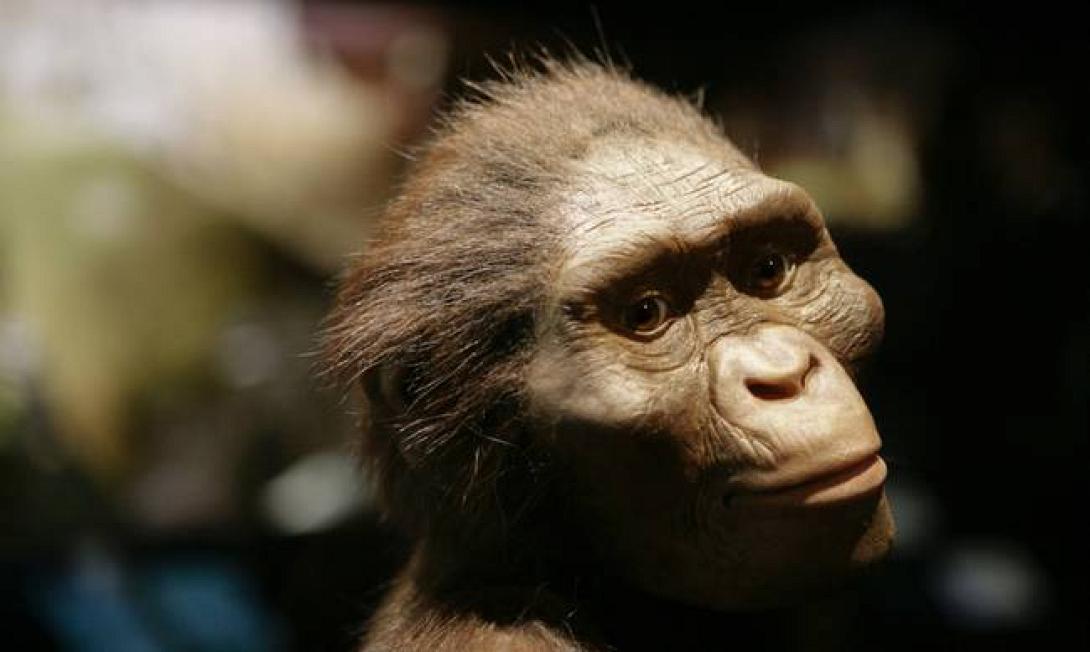 Αυστραλοπίθηκος Λούσι