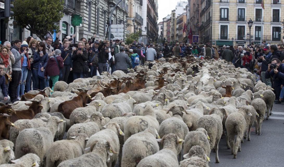 madrid2.jpg