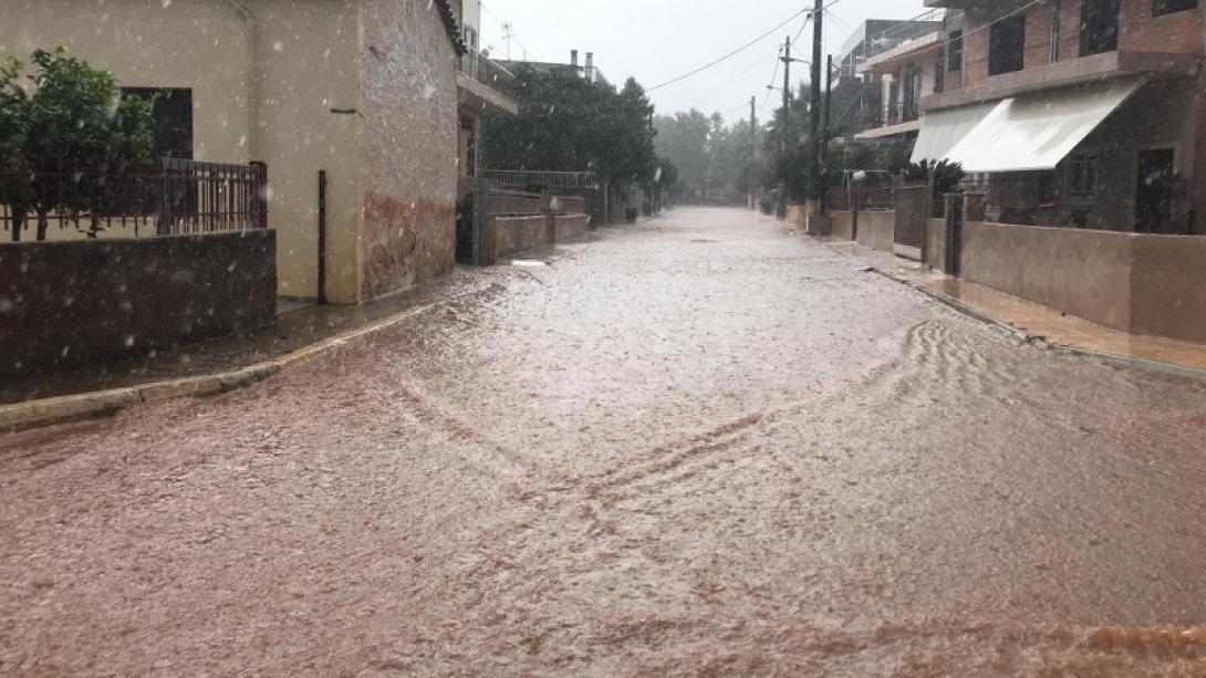 Μάνδρα