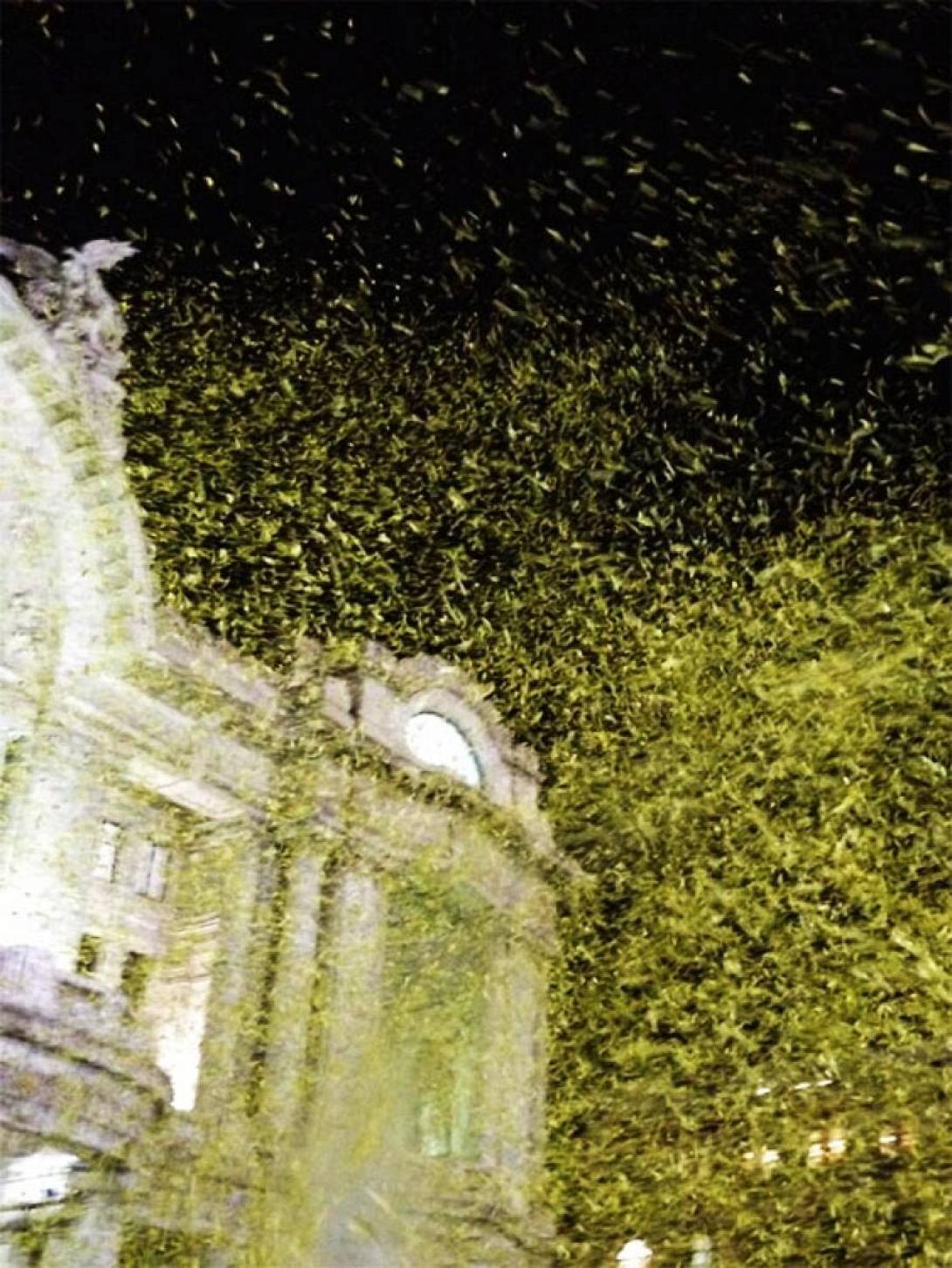 Με κίτρινα τριαντάφυλλα και πεταλούδες το τελευταίο αντίο στον Γκαμπριέλ Γκαρσία Μαρκές