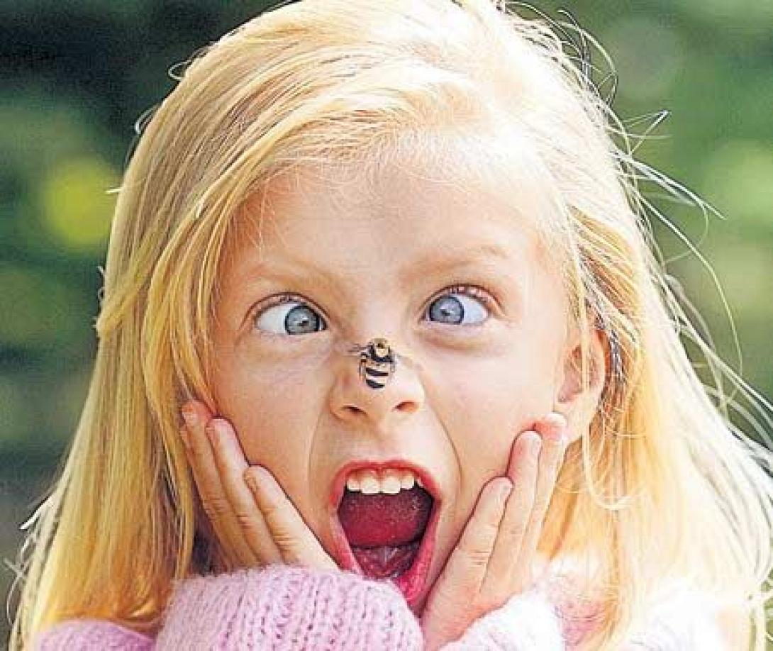 Που πονάει περισσότερο το τσίμπημα της μέλισσας;