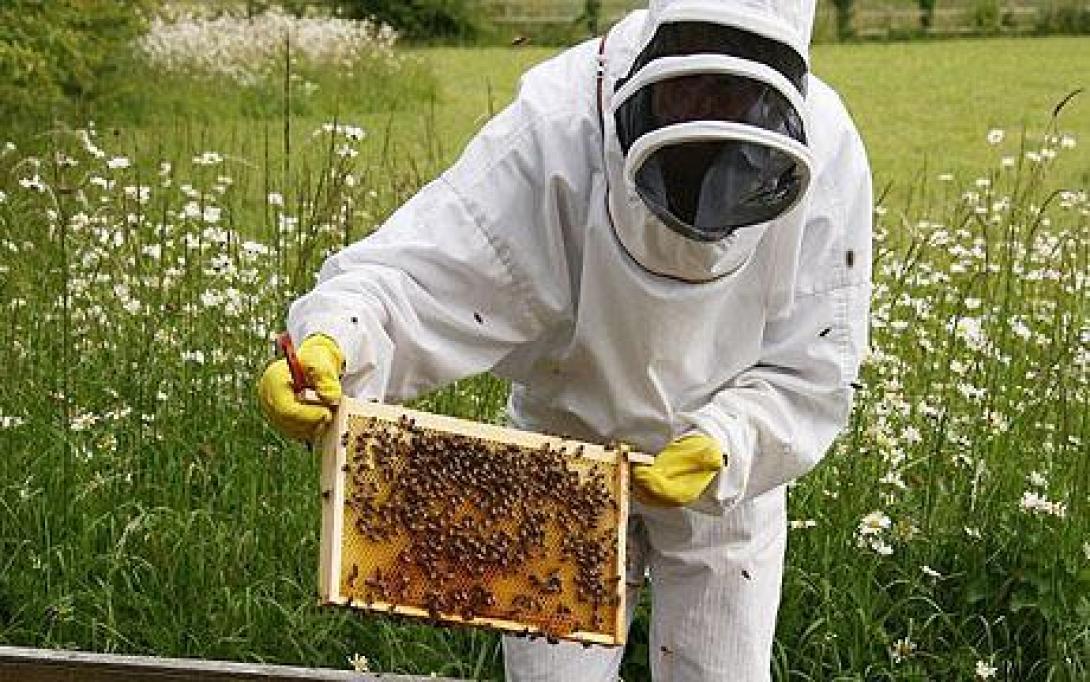Η τεχνολογία υπέρ ... των μελισσοκόμων
