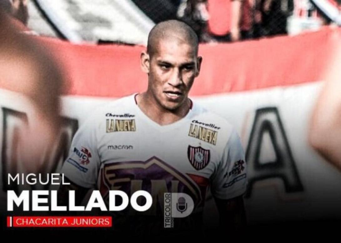 mellado-2.jpg
