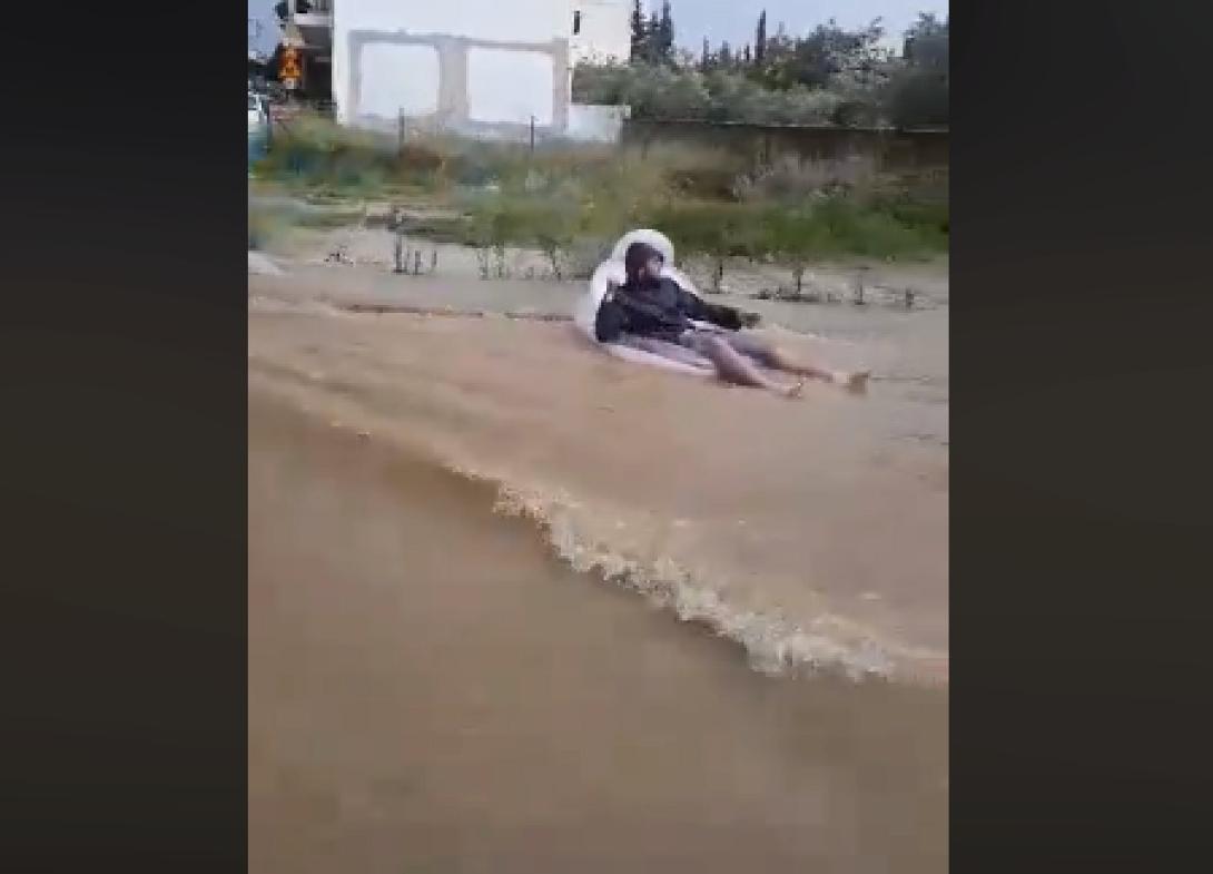 menidi.png