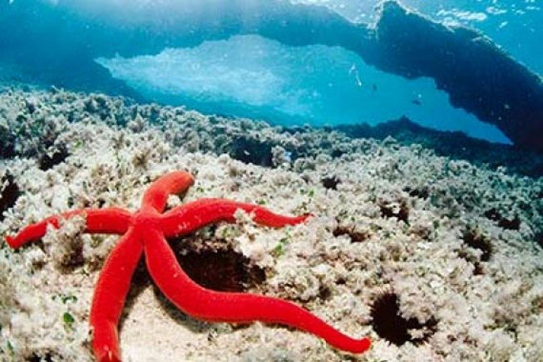 Οι μαθητές με τα ... μαύρα - Απόψε στην πλατεία Ελευθερίας για τα χημικά