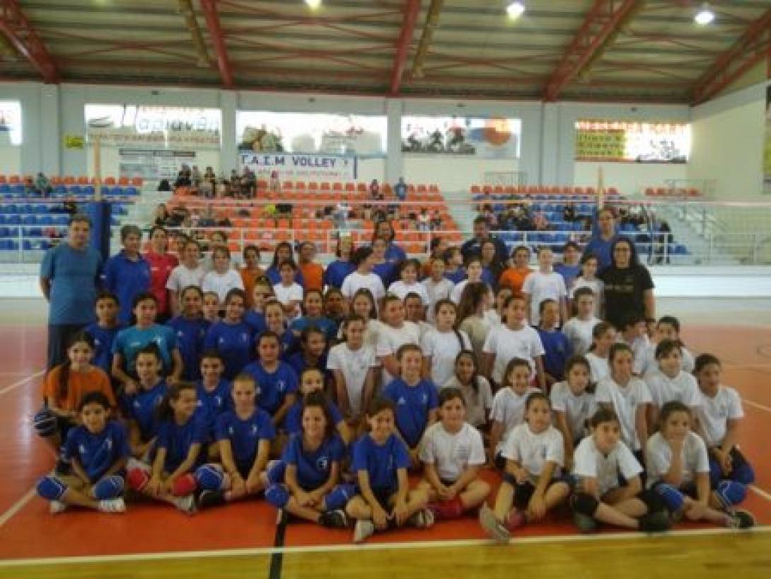 mini_volei.jpg