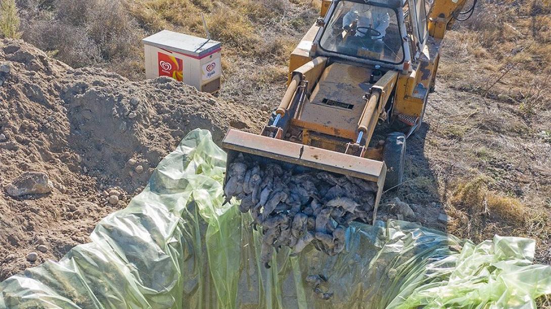 Εικόνες από την Κοζάνη