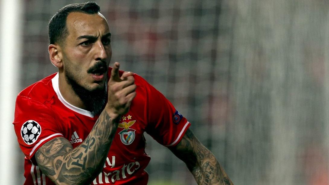 mitroglu.jpg