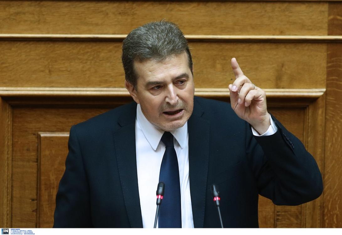 mixalis-xrysoxoidis-vouli.jpg