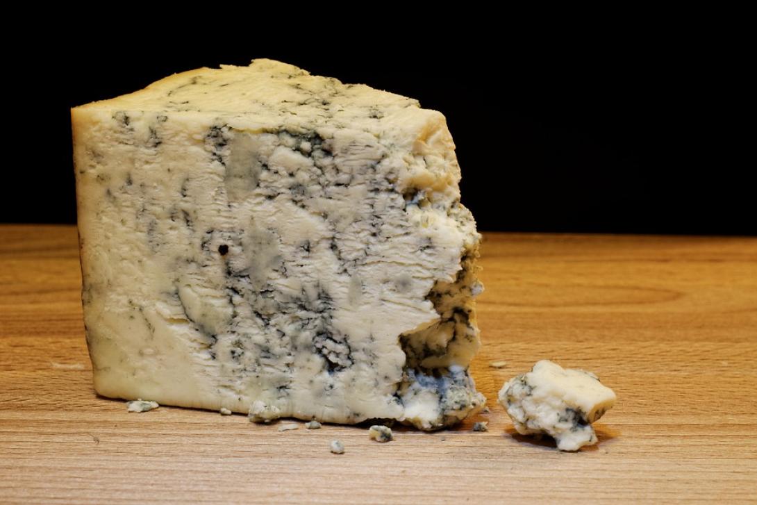 mold-cheese,τυρι,μουχλα,