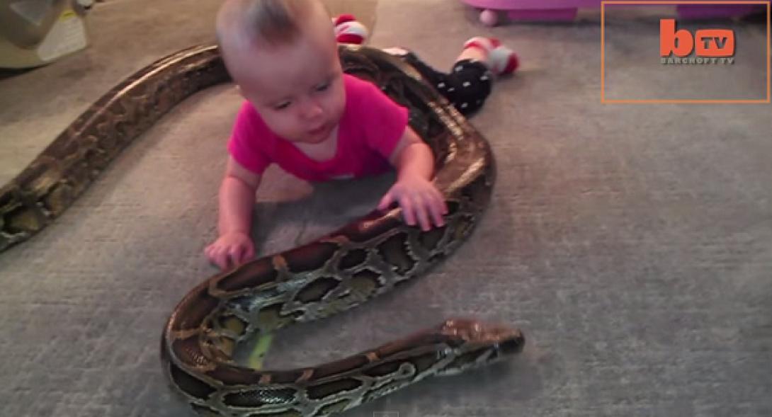 Μωρό παίζει με ένα ... πύθωνα (βίντεο)