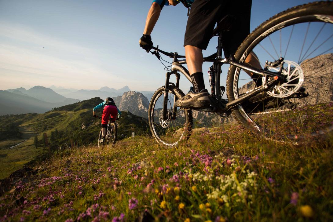 mtb