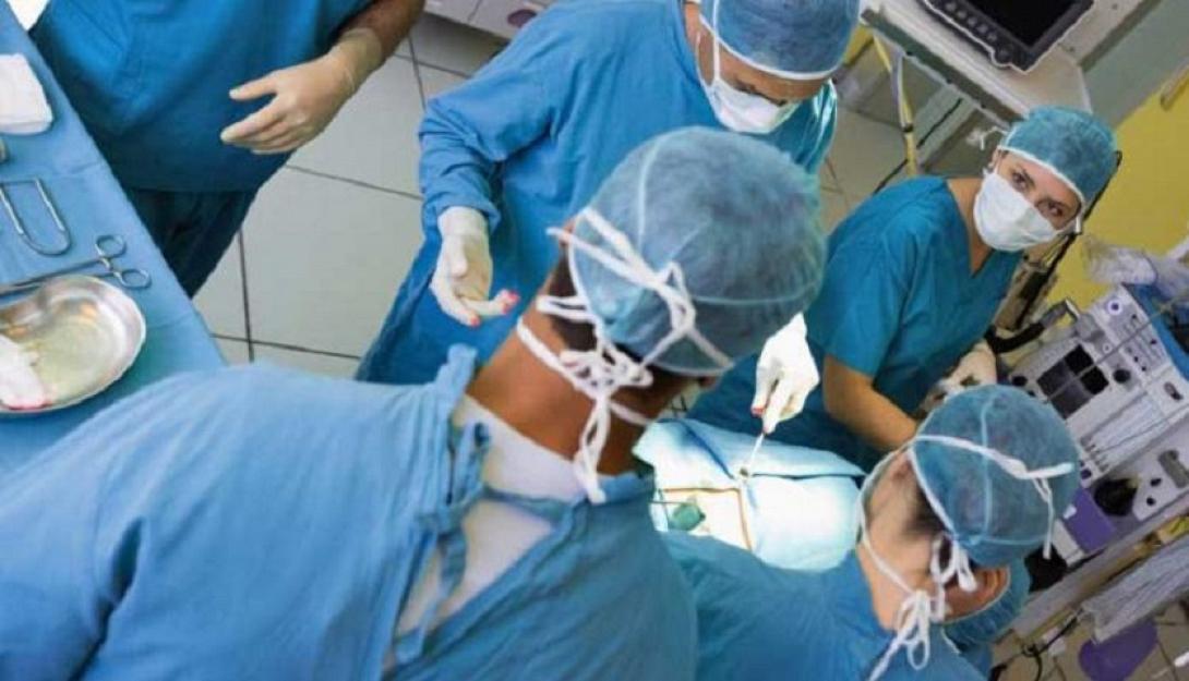 μεταμόσχευση μυελού των οστών